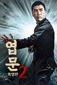 엽문 2 (특별판)