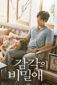 감각의 비밀애