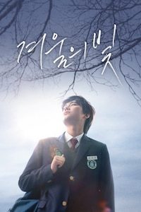 겨울의 빛