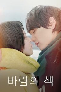 바람의 색