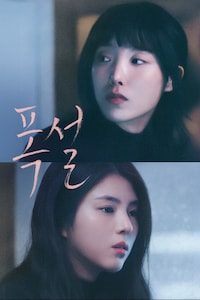 폭설
