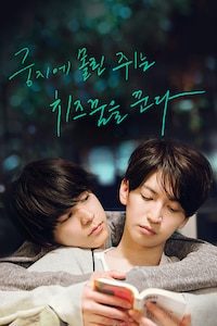 궁지에 몰린 쥐는 치즈 꿈을 꾼다