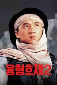 용형호제 2: 비룡계획
