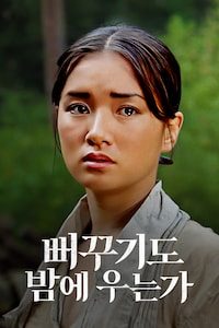 뻐꾸기도 밤에 우는가