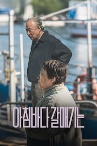 아침바다 갈매기는
