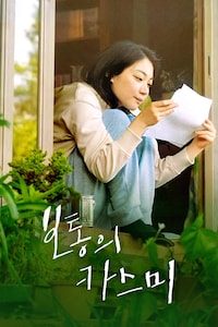 보통의 카스미