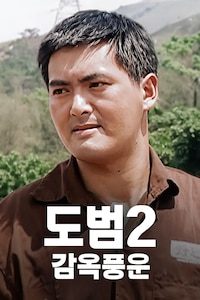 도범 2: 감옥풍운