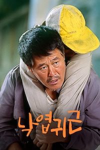 낙엽귀근