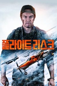 플라이트 리스크