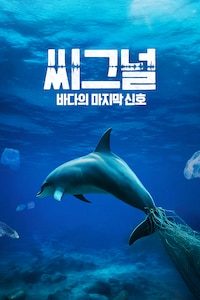 씨그널: 바다의 마지막 신호