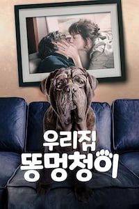 우리집 똥멍청이