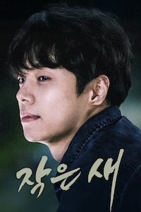 작은새