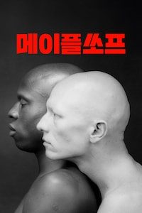 메이플쏘프