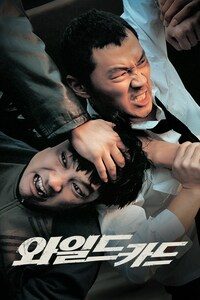 와일드 카드