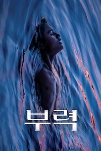 부력