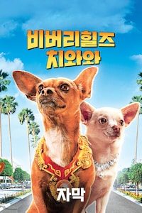 비버리힐즈 치와와 (자막)