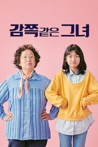 감쪽같은 그녀