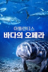 아틀란티스 : 바다의 오페라