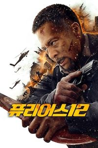 퓨리어스 12