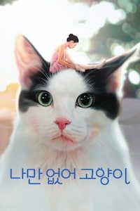 나만 없어 고양이