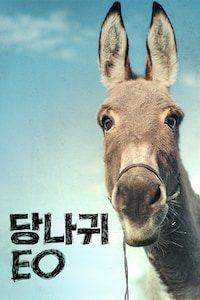 당나귀 EO