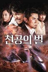 천공의 벌
