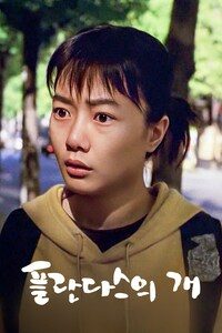 플란다스의 개