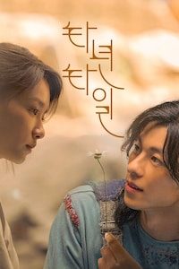 타년타일