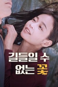 길들일 수 없는 꽃