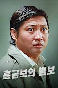 홍금보의 범보