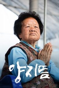 양지뜸