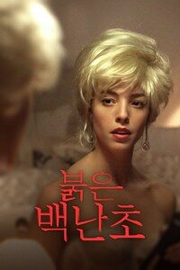 붉은 백난초