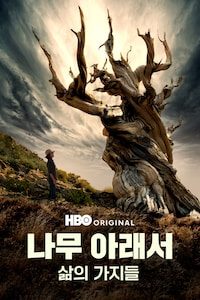 나무 아래서: 삶의 가지들
