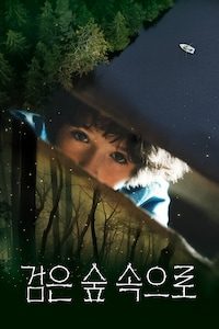 검은 숲 속으로
