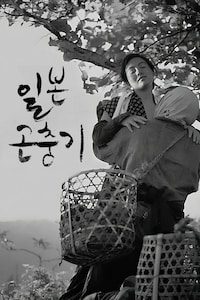 일본 곤충기