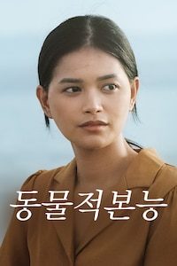 동물적 본능