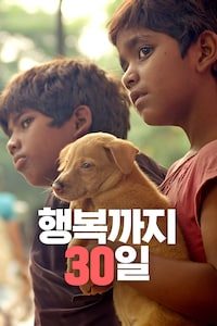행복까지 30일