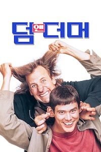 덤 앤 더머