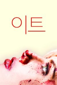 이트