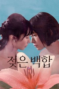 젖은 백합