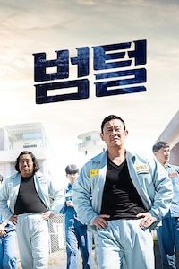 범털
