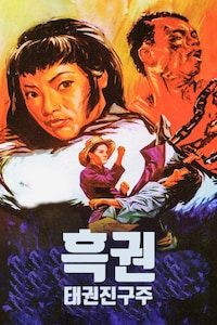 흑권: 태권진구주