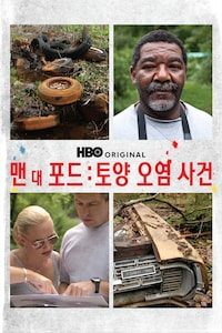 맨 대 포드: 토양 오염 사건