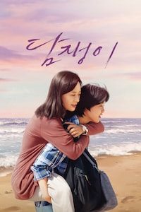 담쟁이