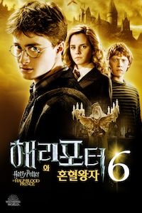 해리 포터와 혼혈 왕자