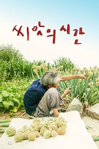 씨앗의 시간