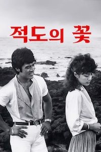 적도의 꽃