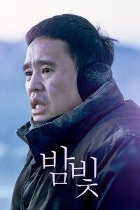 밤빛
