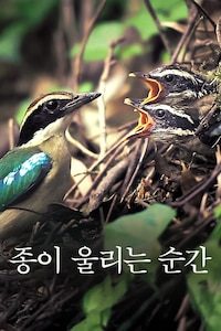 종이 울리는 순간