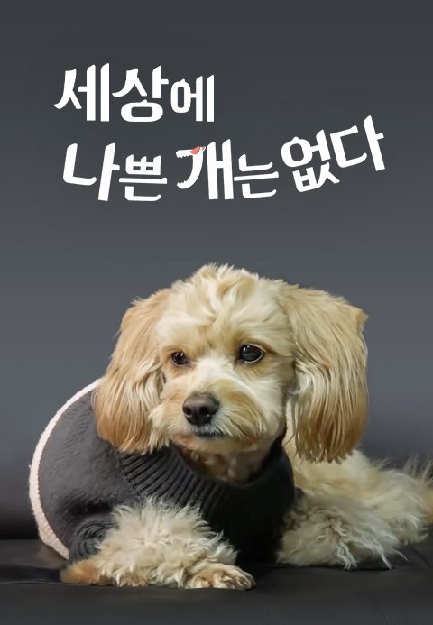 세상에 나쁜 개는 없다